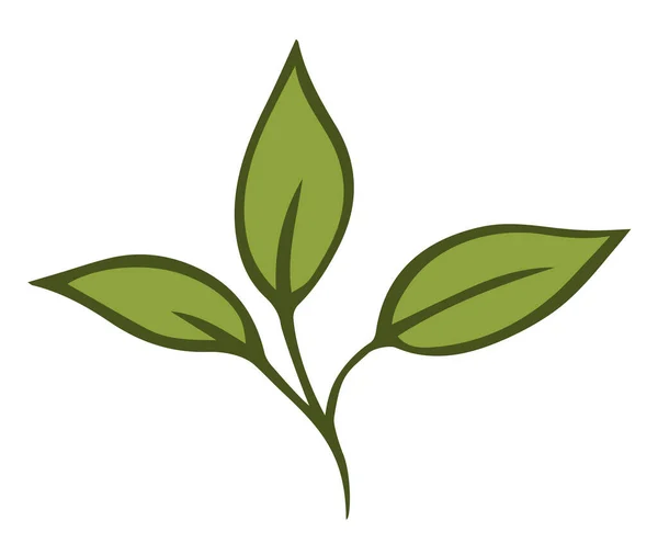 Branch Green Leaves Plant Leaf Flora Botany Symbol Nature Eco — Vetor de Stock
