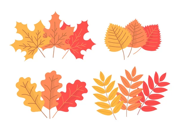 Set Colorful Autumn Tree Leaves Maple Birch Oak Rowan Beautiful — Stockvektor