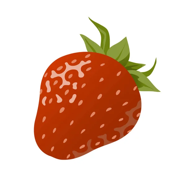 Appetizing Juicy Strawberry Sweet Red Berry Ingredient Dish Summer Dessert — ストックベクタ