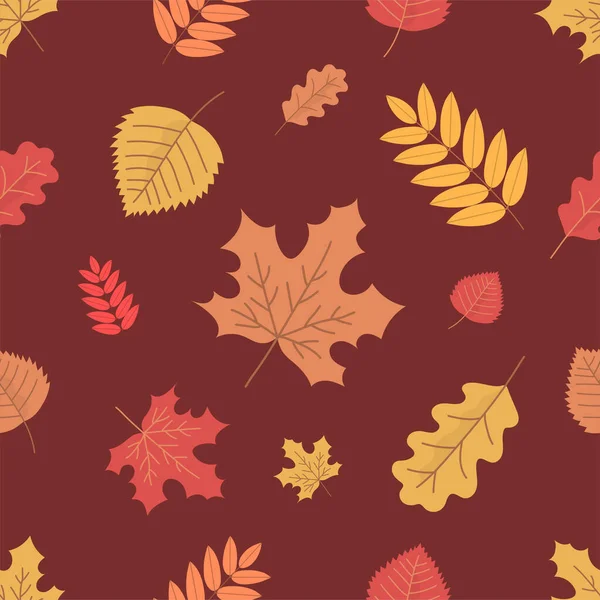 Set Colorful Autumn Tree Leaves Pattern Maple Birch Oak Rowan — Image vectorielle