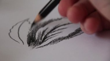 Hand draws in black pencil a sketch of a plant leaf. Video of the drawing process. Artist master class art studio