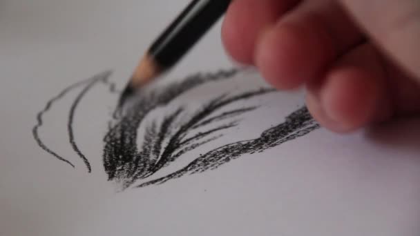 Hand Draws Black Pencil Sketch Plant Leaf Video Drawing Process — Stock video