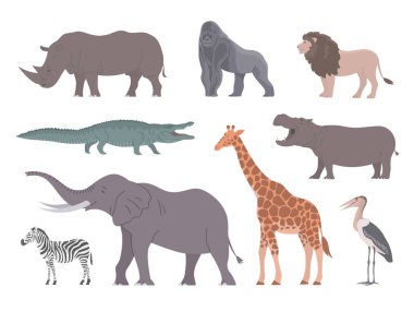 Afrika hayvanları seti. Büyük fil, zürafa, gergedan, aslan ve zebra. Otçul ve etobur. Vahşi yaşam memelileri. Hayvanat bahçesi. Düz vektör koleksiyonu resmi beyaz arkaplanda izole edildi