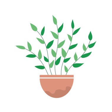 Decorative home flower. Pot with green plant. Object of a room interior. Flat vector illustration isolated on white background