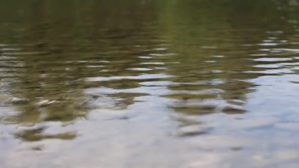 Επιφάνεια Του Νερού Ένα Ποτάμι Λίμνη Στη Φύση Υφή Υγρού — Αρχείο Βίντεο