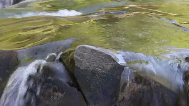 Rough Current Mountain River Stones Video Beautiful Water Movement Wild — ストック動画
