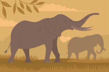 African elephant with tusks in the savannah wild