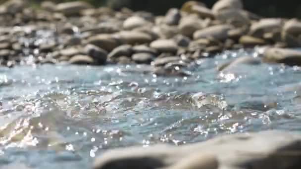 Rough Current Mountain River Stones Video Beautiful Water Movement Wild — 图库视频影像