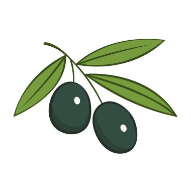 Branch of olive with green leaves. Delicious fruit for seasoning and dishes. Natural vegetable oil. Healthy food. Italy plant. Vector cartoon illustration isolated on white background. Outline style