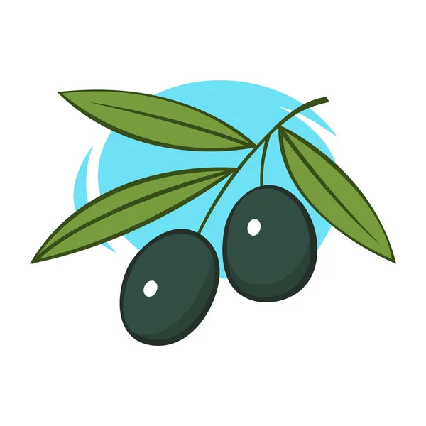 Branch Olive Green Leaves Delicious Fruit Seasoning Dishes Natural Vegetable —  Vetores de Stock