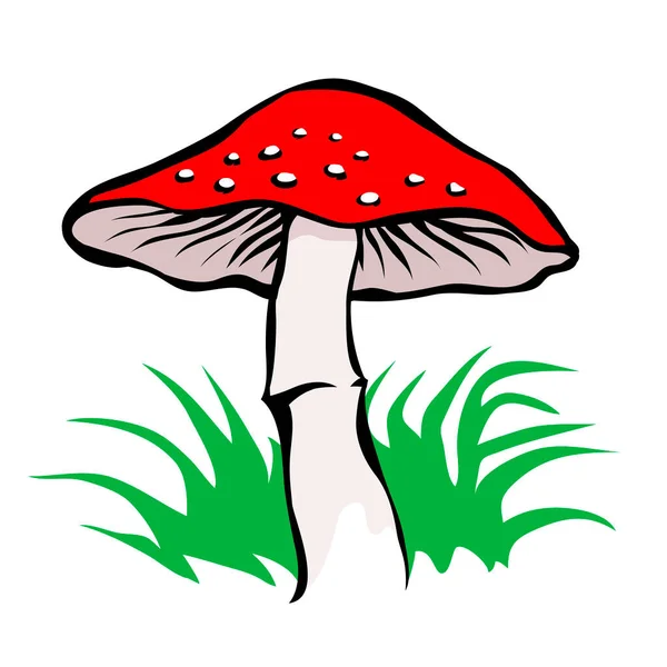 赤いキャップでアガリを飛ぶ 森の中の毒キノコ 緑の草 白い背景に描かれた漫画のベクトルアートイラスト 手描き線種 — ストックベクタ