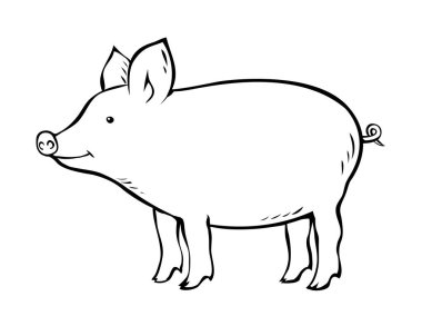 Beyaz arka planda bir domuz. Çiftçilik ve evcil hayvanlar. Şirin domuzcuk. Yemek ve et. Çizgi film vektörü sanat illüstrasyonunu izole etti. El çizimi siyah çizgi çizimi