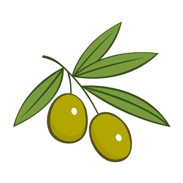 Rama Olivo Con Hojas Verdes Deliciosa Fruta Para Sazonar Platos — Archivo Imágenes Vectoriales