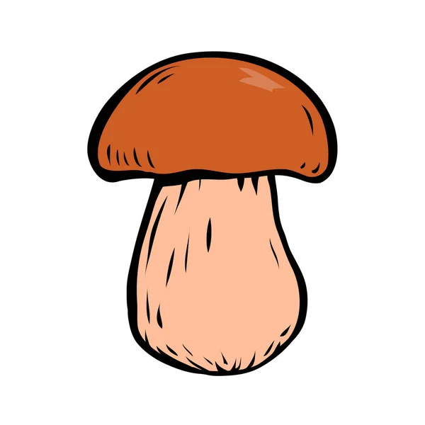 Porcini Sketch Edible Forest Mushroom Brown Mushroom Cap Delicious Nutritious — Stock Vector