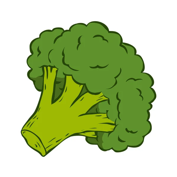 Зеленая Капуста Брокколи Вкусный Питательный Овощ Здоровое Питание Ингредиент Приготовления — стоковый вектор