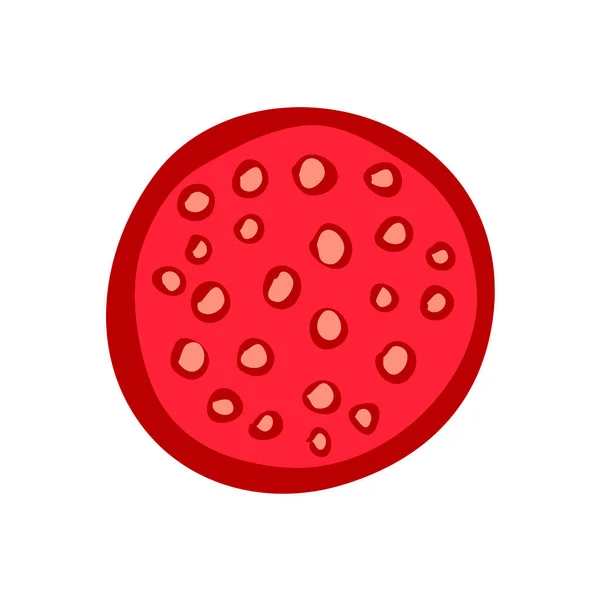 Шматок Червоної Салямі Смачний Ясний Продукт Делікатес Склад Приготування Їжі — стоковий вектор
