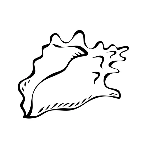 밑에서 조개꼬인 껍데기 연체동물 지중해 일러스트는 흑백입니다 손으로 스케치 — 스톡 벡터