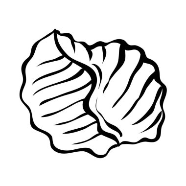 Deniz kabuğu. Deniz altı bükülmüş kabuk. Deniz altı yumuşakçaları. Dekoratif unsur. Akdeniz kültürü. Çizgi film vektör illüstrasyonu siyah beyaz. El çizimi taslak biçimi