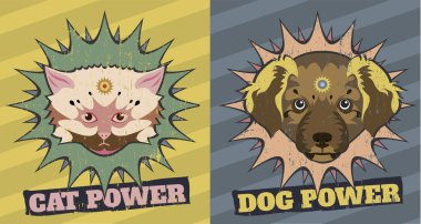kedi ve köpek güç