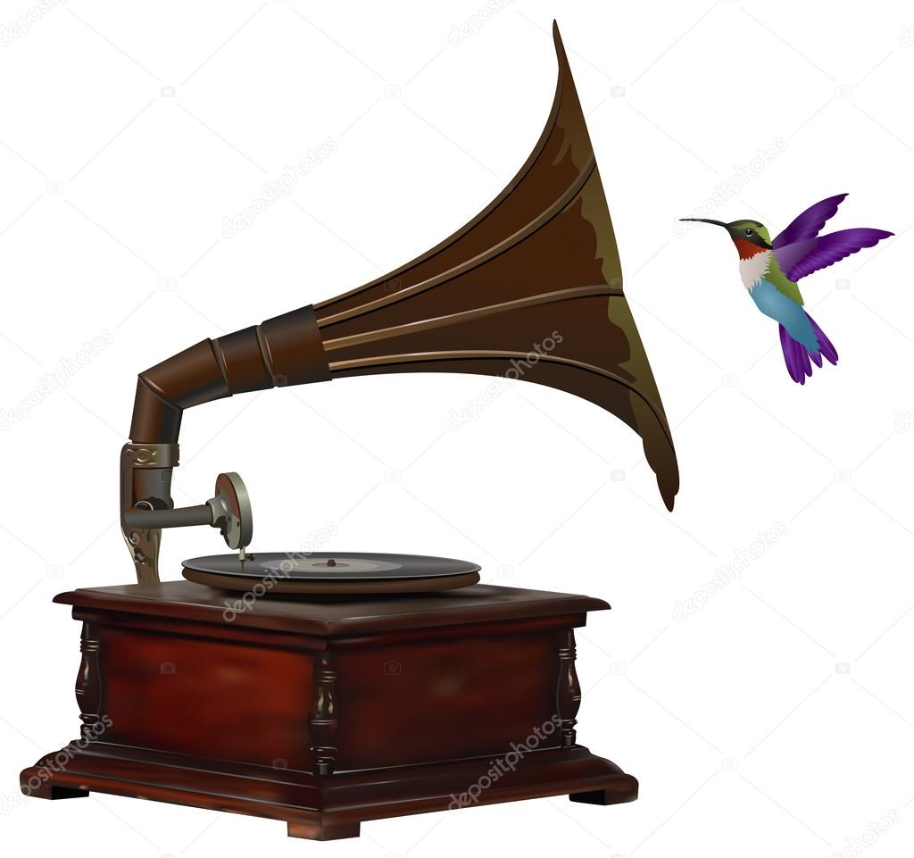 Gramophone and colorful hummingbird