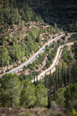 İsrail 'in kırsal kesimindeki yeşil ormanlarla çevrili dağlarda yol.