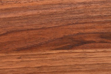 Farklı ahşap türlerinin ahşap dokusu