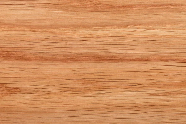不同类型木材的木质部 — 图库照片
