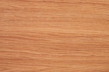 Farklı ahşap türlerinin ahşap dokusu