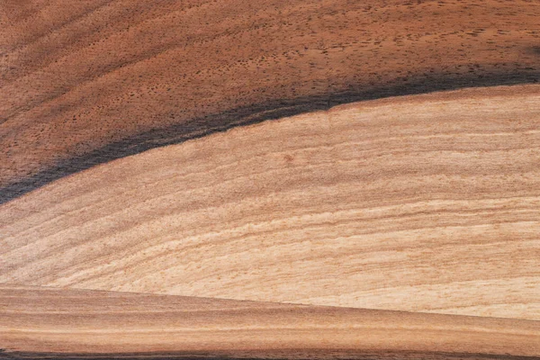 Текстура Деревини Різних Типів Деревини — стокове фото