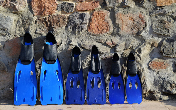 Три флипера.
