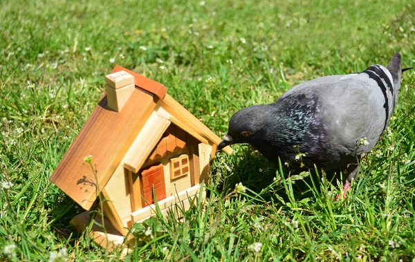 Jeder nach Hause? — Stockfoto