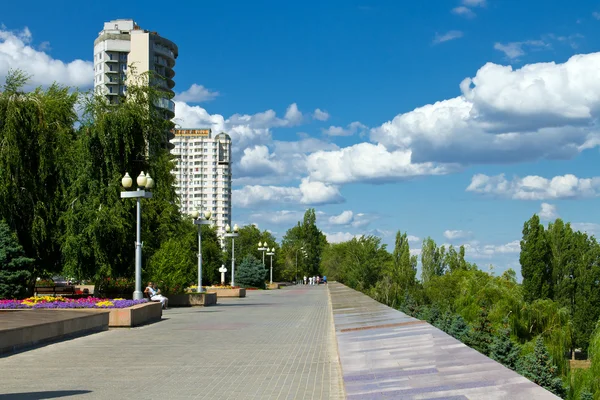 Ruelle Net City au milieu du vert des arbres et des nuages blancs — Photo