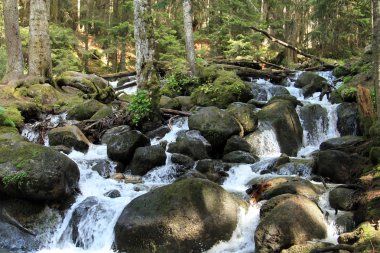 içme suyu ile saf dağ dere
