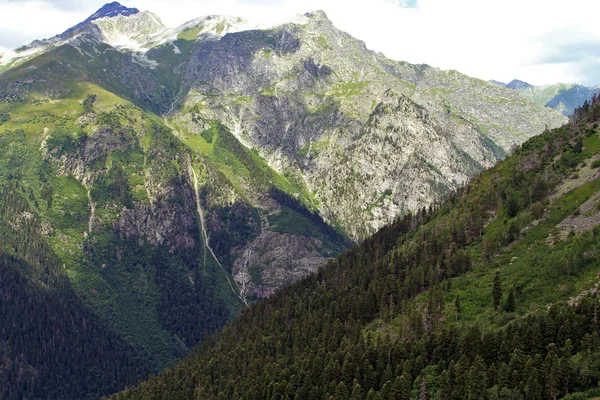 Гірські вершини у Dombai. Літо в похмуру погоду — стокове фото