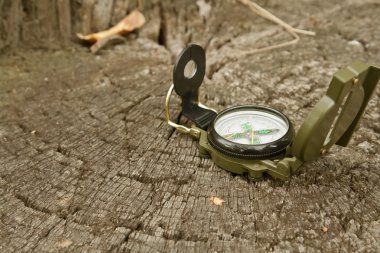 büyük ağaç kütüğü orman üzerinde pusula yalan