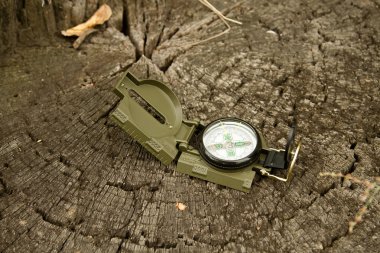 büyük ağaç kütüğü orman üzerinde pusula yalan