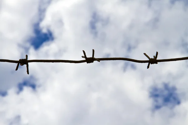 Barbed wire on the background of fluffy white clouds — Stock Photo, Image