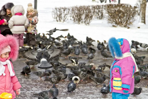 Crianças e pais em um passeio alimentam os pombos no Parque no inverno . — Fotografia de Stock