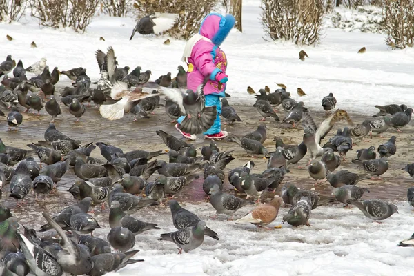 Criança e pombos — Fotografia de Stock