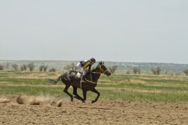 jokey at yarışları sırasında bir binicilik