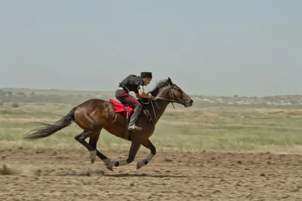 Jockey rida en häst under hästkapplöpningarna — Stockfoto