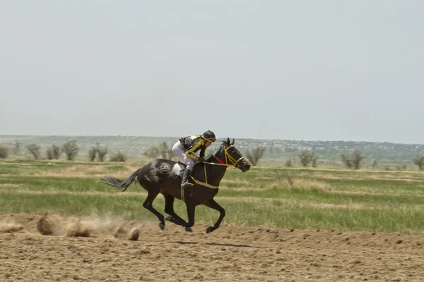 Жокей верхом на лошади во время скачек — стоковое фото
