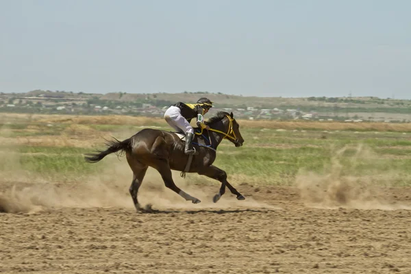 Jockey chevauchant un cheval pendant les courses de chevaux — Photo