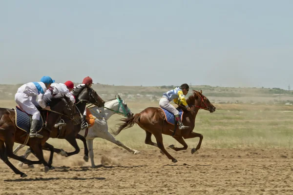 At yarışları — Stok fotoğraf