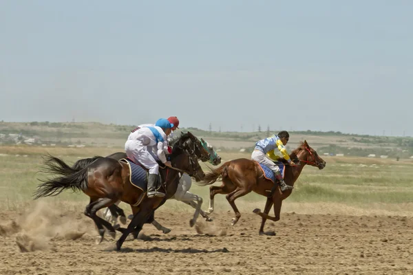 At yarışları — Stok fotoğraf
