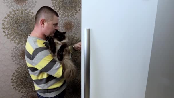 Un hombre con un gato en sus brazos saca comida para un gato del refrigerador de la cocina. — Vídeos de Stock