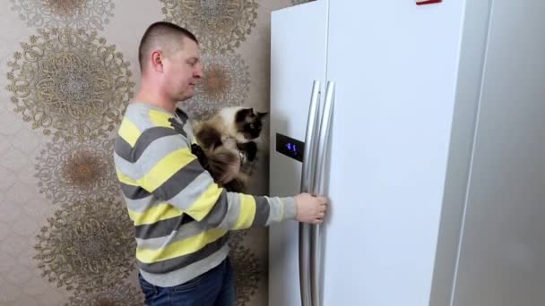 Muž s kočkou v náručí vyndá z ledničky jídlo pro kočku. — Stock video