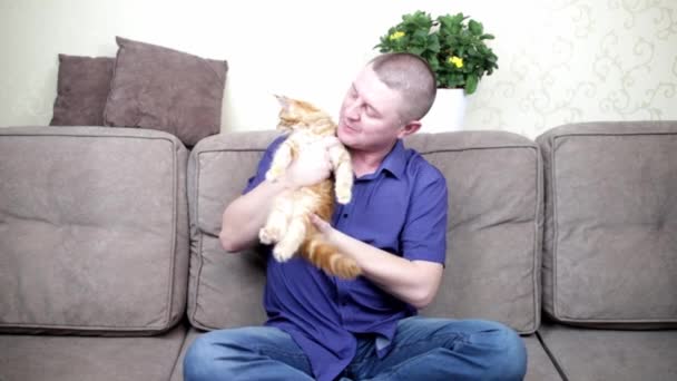 Mężczyzna prowadzi domowy blog o zwierzakach pokazujących małego kotka Maine przed kamerą — Wideo stockowe