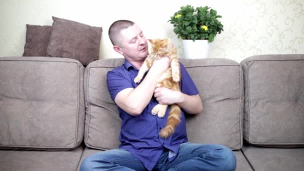 Um homem mantém um blog em casa sobre animais de estimação mostrando um pequeno gatinho Maine na câmera — Vídeo de Stock