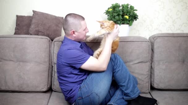 Mężczyzna prowadzi domowy blog o zwierzakach pokazujących małego kotka Maine przed kamerą — Wideo stockowe